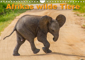 Afrikas wilde Tiere (Wandkalender 2022 DIN A4 quer) von Struckmann /FSTWildlife,  Frank