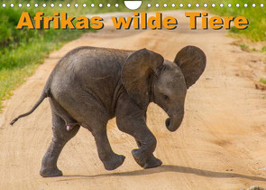 Afrikas wilde Tiere (Wandkalender 2023 DIN A4 quer) von Struckmann /FSTWildlife,  Frank