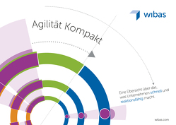 Agilität Kompakt