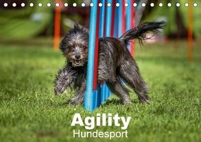 Agility Hundesport (Tischkalender 2018 DIN A5 quer) von Teckentrup,  Jörg