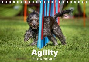 Agility Hundesport (Tischkalender 2019 DIN A5 quer) von Teckentrup,  Jörg