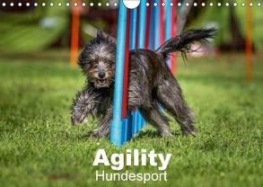 Agility Hundesport (Wandkalender 2018 DIN A4 quer) von Teckentrup,  Jörg