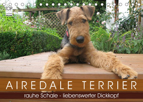 Airedale Terrier (Tischkalender 2023 DIN A5 quer) von Rottmann,  Gaby