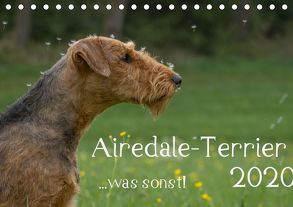 Airedale-Terrier, was sonst! (Tischkalender 2020 DIN A5 quer) von Janz,  Michael