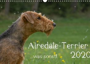 Airedale-Terrier, was sonst! (Wandkalender 2020 DIN A3 quer) von Janz,  Michael