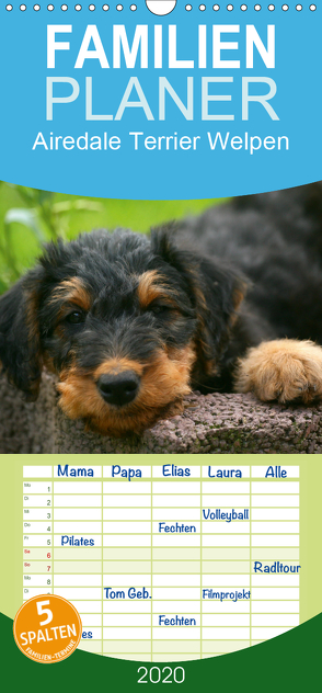 Airedale Terrier Welpen – Familienplaner hoch (Wandkalender 2020 , 21 cm x 45 cm, hoch) von Milau,  Susan