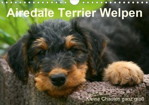 Airedale Terrier Welpen (Wandkalender 2021 DIN A4 quer) von Milau,  Susan