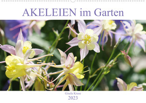 Akeleien im Garten (Wandkalender 2023 DIN A2 quer) von Kruse,  Gisela