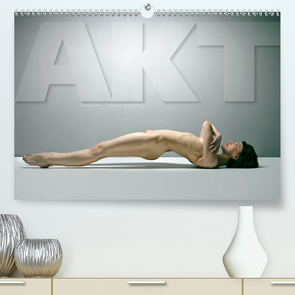 AKT FOTOGRAFIE I (Premium, hochwertiger DIN A2 Wandkalender 2021, Kunstdruck in Hochglanz) von VAN VEENENDAAL FOTOGRAFIE,  NIK
