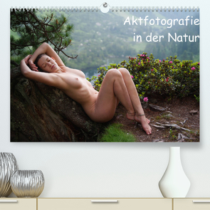 Aktfotografie in der Natur (Premium, hochwertiger DIN A2 Wandkalender 2022, Kunstdruck in Hochglanz) von Geiser,  Judith