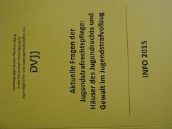 Aktuelle Fragen der Jugendstrafrechtspflege: Häuser des Jugendrechts und Gewalt im Jugendstrafvollzug von Dölling,  Dieter, Klippstein,  Bernd