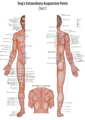 Akupunkturtafel Chart 2 TUNG’s Extraordinary Acupuncture Points on the regular channels von Koppensteiner,  David