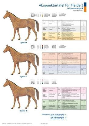 Akupunkturtafel für Pferde 3 + 4 von Krokowski,  Carola
