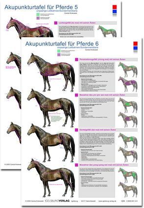 Akupunkturtafel für Pferde 5 + 6 von Krokowski,  Carola