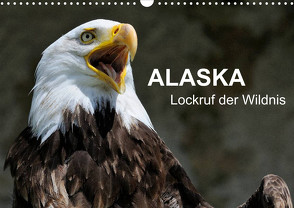 Alaska – Lockruf der Wildnis (Wandkalender 2023 DIN A3 quer) von Wilczek,  Dieter