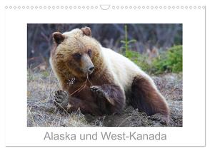 Alaska und West-Kanada (Wandkalender 2024 DIN A3 quer), CALVENDO Monatskalender von Braue,  Carsten