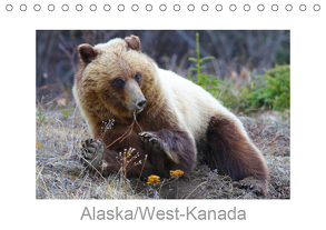 Alaska/West-Kanada (Tischkalender 2019 DIN A5 quer) von Braue,  Carsten