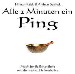 Alle 2 Minuten ein Ping von Hajek,  Hilmar, Seebeck,  Andreas