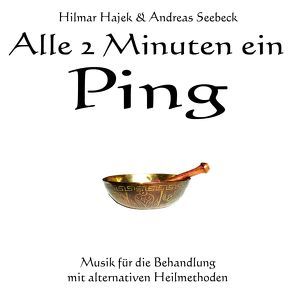 Alle 2 Minuten ein Ping von Hajek,  Hilmar, Seebeck,  Andreas