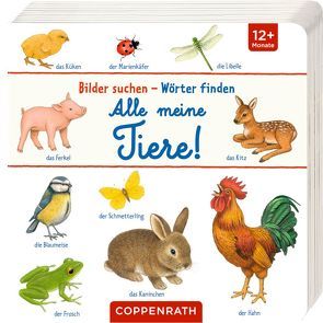 Alle meine Tiere! von Brauer,  Sybille