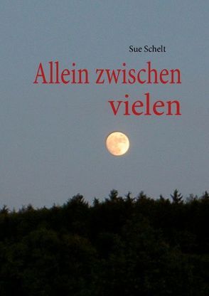 Allein zwischen vielen von Schelt,  Sue