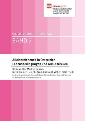 Alleinerziehende in Österreich von Beham,  Martina, Friedl,  Petra, Kromer,  Ingrid, Leitgöb,  Heinz, Weber,  Christoph, Zartler,  Ulrike