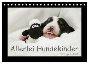 Allerlei Hundekinder (Tischkalender 2024 DIN A5 quer), CALVENDO Monatskalender von Köntopp,  Kathrin