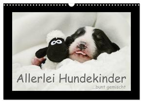 Allerlei Hundekinder (Wandkalender 2024 DIN A3 quer), CALVENDO Monatskalender von Köntopp,  Kathrin