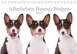 Allerliebste Basenji Welpen 2022 (Tischkalender 2022 DIN A5 quer) von Joswig,  Angelika