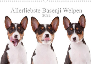 Allerliebste Basenji Welpen 2022 (Wandkalender 2022 DIN A3 quer) von Joswig,  Angelika