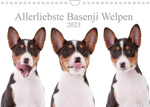 Allerliebste Basenji Welpen 2023 (Wandkalender 2023 DIN A4 quer) von Joswig,  Angelika