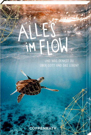 Alles im Flow von Fietzek,  Petra