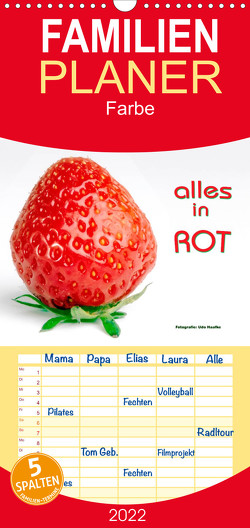 Familienplaner Alles in Rot (Wandkalender 2022 , 21 cm x 45 cm, hoch) von Haafke,  Udo