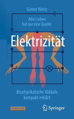 Alles Leben hat nur eine Quelle: Elektrizität von Nimtz,  Günter