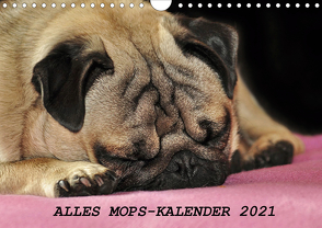 Alles Mops-Kalender 2021 (Wandkalender 2021 DIN A4 quer) von Hofmann,  Sonja