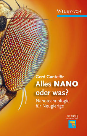 Alles NANO – oder was? von Ganteför,  Gerd