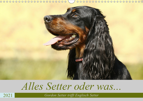 Alles Setter oder was (Wandkalender 2021 DIN A3 quer) von Bea Müller,  Hundefotografie