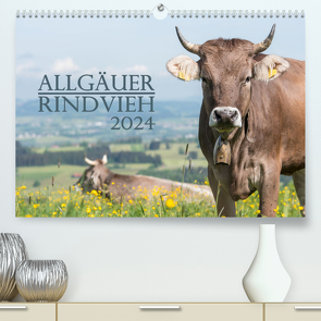 Allgäuer Rindvieh 2024 (hochwertiger Premium Wandkalender 2024 DIN A2 quer), Kunstdruck in Hochglanz von Wandel,  Juliane