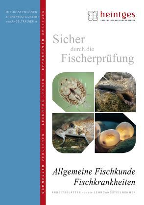 Allgemeine Fischkunde, Fischkrankheiten von Bayrle,  Hermann, Heintges,  Wolfgang