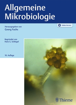 Allgemeine Mikrobiologie von Eitinger,  Thomas, Fuchs,  Georg, Heider,  Johann, Kothe,  Erika, Overmann,  Jörg