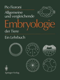 Allgemeine und vergleichende Embryologie der Tiere von Fioroni,  Pio