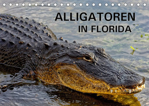 ALLIGATOREN in Florida (Tischkalender 2023 DIN A5 quer) von Wilczek,  Dieter