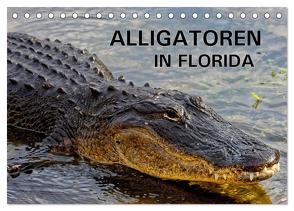 ALLIGATOREN in Florida (Tischkalender 2024 DIN A5 quer), CALVENDO Monatskalender von Wilczek,  Dieter