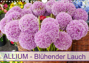 Allium Blühender Lauch (Wandkalender 2021 DIN A4 quer) von Kruse,  Gisela