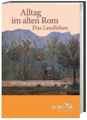 Alltag im Alten Rom von Weeber,  Karl-Wilhelm