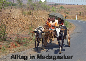 Alltag in Madagaskar (Wandkalender 2023 DIN A3 quer) von Brüchle,  Willy