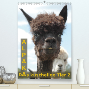 Alpaka, das kuschelige Tier 2 (Premium, hochwertiger DIN A2 Wandkalender 2021, Kunstdruck in Hochglanz) von Brömstrup,  Peter