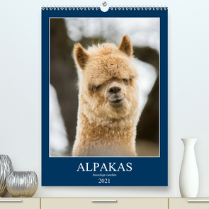 Alpakas – flauschige Gesellen (Premium, hochwertiger DIN A2 Wandkalender 2021, Kunstdruck in Hochglanz) von Mentil,  Bianca