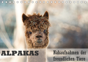 Alpakas Nahaufnahmen der freundlichen Tiere (Tischkalender 2020 DIN A5 quer) von Mentil,  Bianca