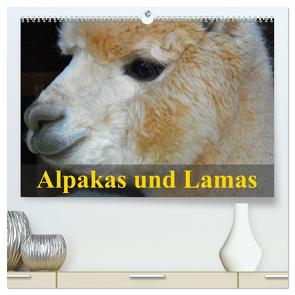 Alpakas und Lamas (hochwertiger Premium Wandkalender 2024 DIN A2 quer), Kunstdruck in Hochglanz von Stanzer,  Elisabeth